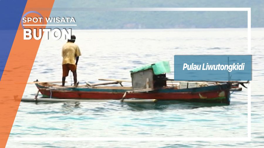 Pulau Liwutongkidi, Buton