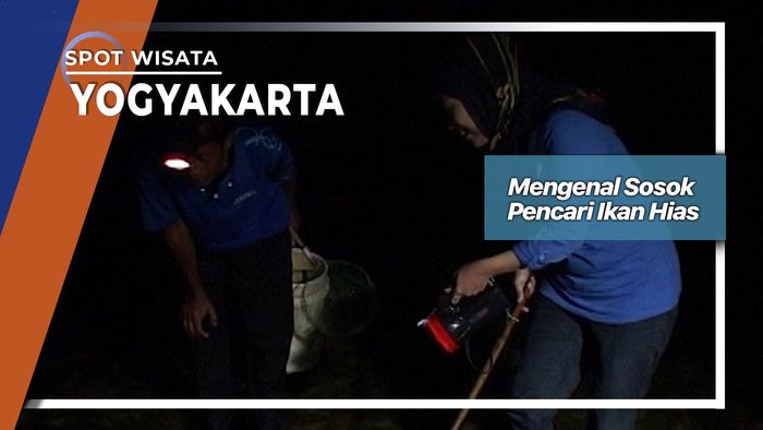 Sosok Pencari Ikan Hias Pantai Kukup Yogyakarta  