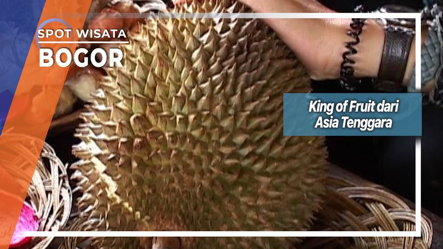 Durian, Buah Penuh Kontroversi Dari Cijeruk Bogor