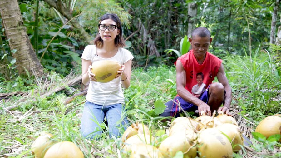 Jangan Petik Kelapa Sembarangan di Miangas, Ini Hukum Adatnya!