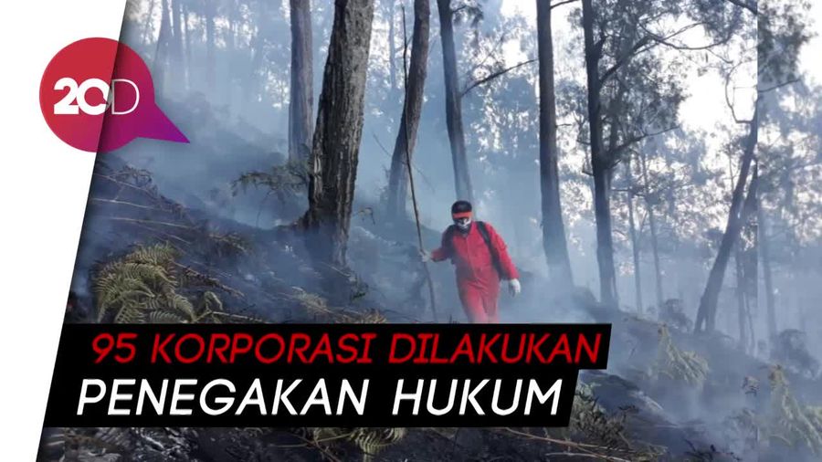 Update Kasus Karhutla, 325 Orang dan 11 Korporasi Jadi Tersangka!