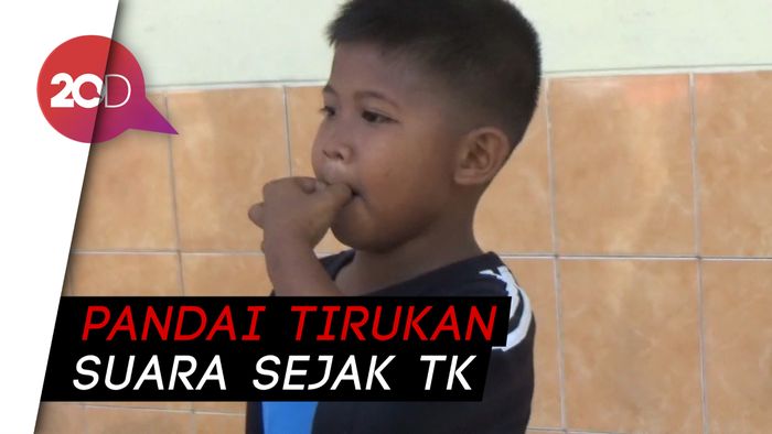 Cit-Cit-Cuit... Melihat Aksi Fahrizal, Bocah SD Peniru Suara Burung
