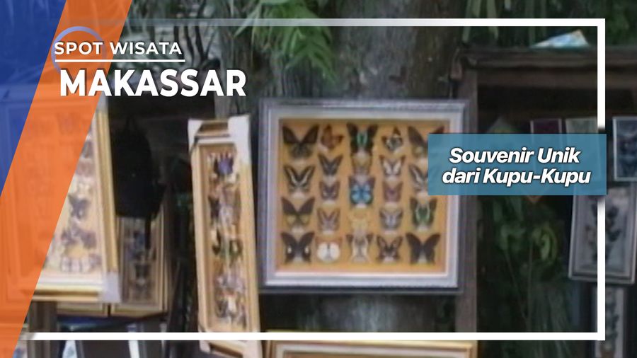 Souvenir Unik dari Kupu-Kupu, Makassar 