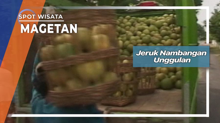 Jeruk Unggulan Asal Nambangan Magetan