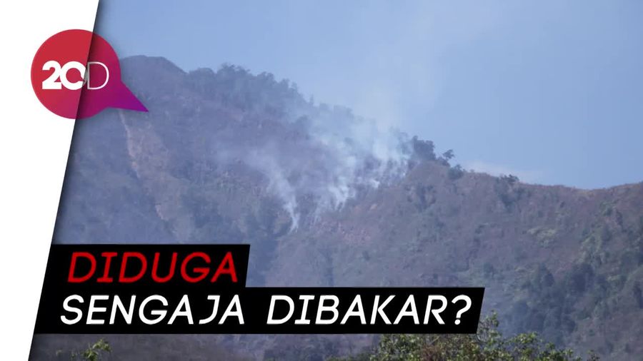 Ada Info Lahan di Gunung Malabar Sengaja Dibakar, Polisi Turun Tangan!