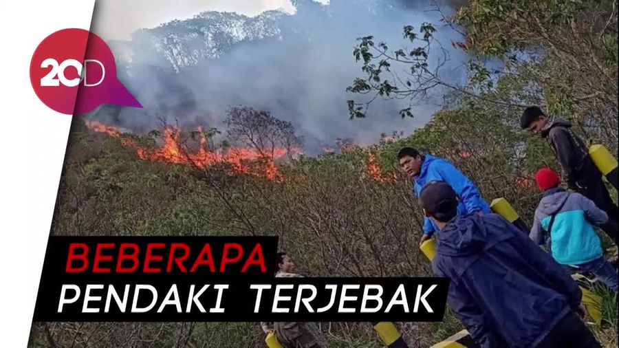 Kawasan Hutan di Gunung Papandayan, Semeru, dan Raung Terbakar
