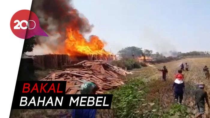 Ribuan Kayu Jati di Pasuruan Terbakar, Kerugian Miliaran Rupiah