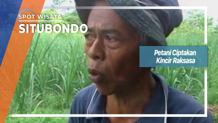 Petani Ciptakan Kincir Raksasa, Situbondo  