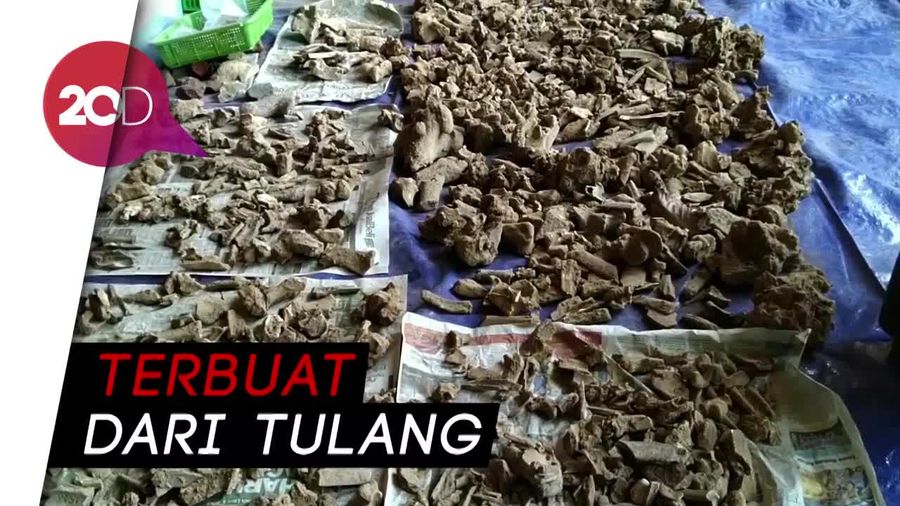 Arkeolog Temukan Peralatan Prasejarah Berusia 7.000 Tahun