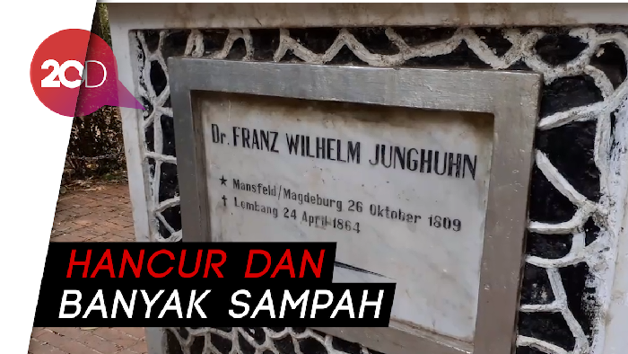 Melihat Sejarah Pohon Kina Pertama yang Terbengkalai