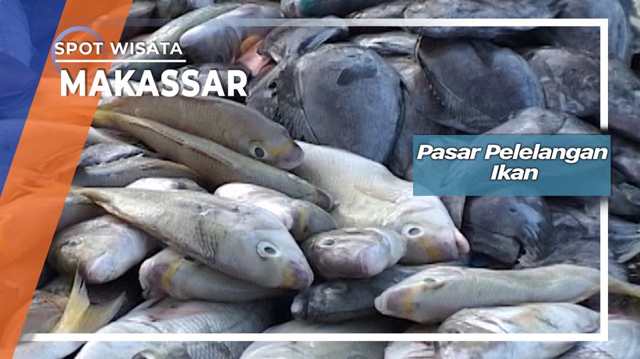 Pasar Pelelangan Ikan Rajawali Makassar