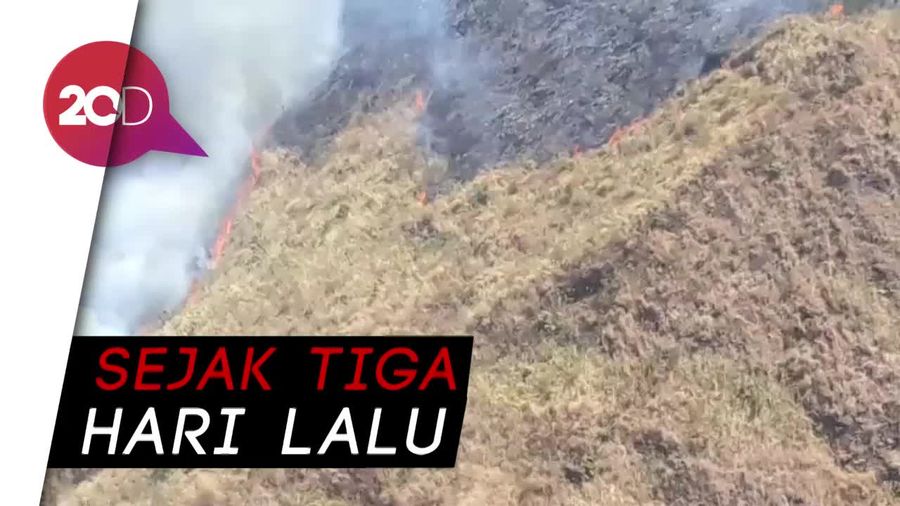 Kebakaran di Gunung Arjuna-Welirang Masih Membara