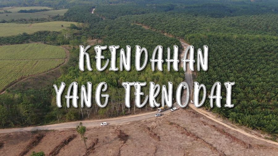 Jalur Asri nan Hijau Kampung Sri Rezeki yang Ternodai Jalanan Rusak