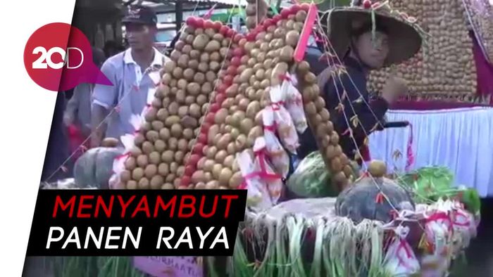 Keseruan Festival Rebutan Kentang di Minahasa Selatan