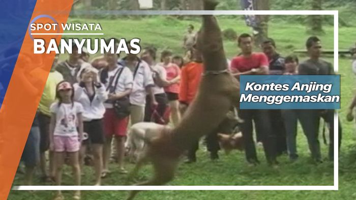 Kontes Anjing Menggemaskan, Banyumas