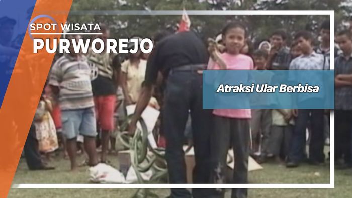 Atraksi Ular Berbisa, Purworejo 