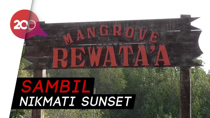 Wisata Hutan Mangrove Rewataa yang Teduhkan Pengunjung