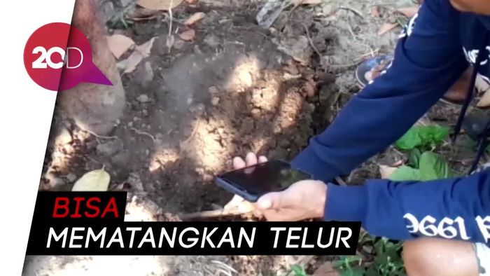 Heboh Asap Panas Keluar dari Tanah di Jombang, Ternyata...