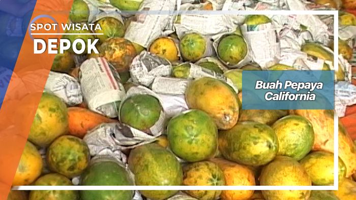 Buah Pepaya California, Depok  