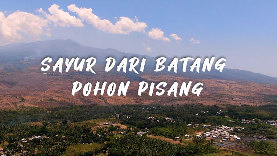 Ini Sayur Ares, Makanan Khas Suku Sasak
