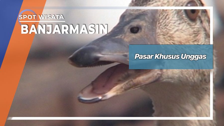 Pasar Unggas Km14 Gambut Kabupaten Banjar Kalimantan Selatan  