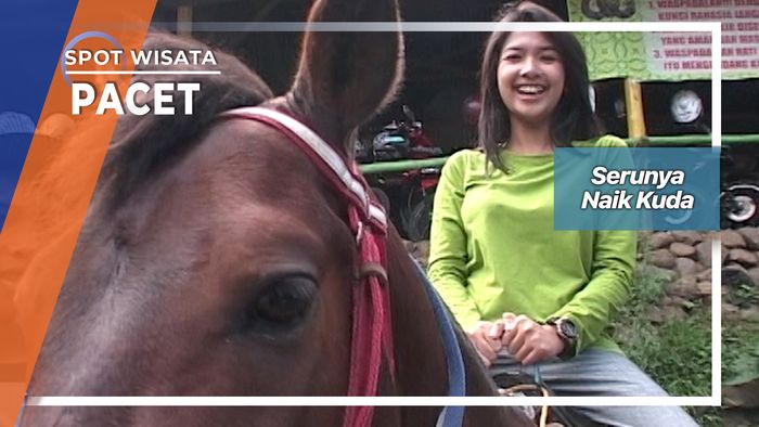 Berkuda Di Pacet Jawa Tengah   