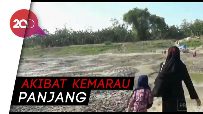 Tak Pakai Perahu, Warga Sebrangi Sungai Bengawan Solo Berjalan Kaki