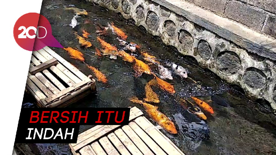Wih! di Banyuwangi Saluran Irigasi Penuh Sampah Disulap Jadi Kolam Ikan