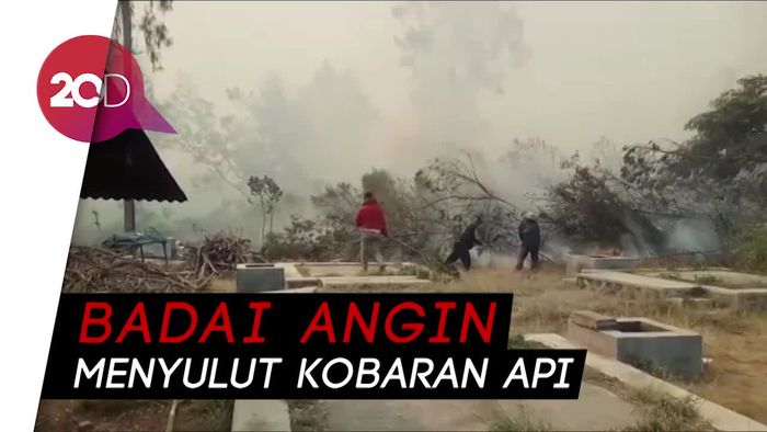 Kawasan TWA Kawah Ijen Terbakar Hebat