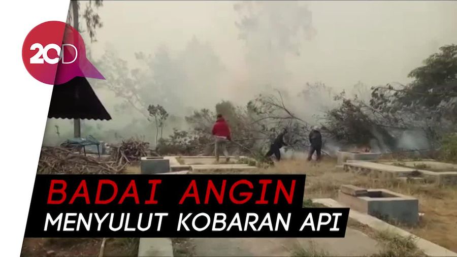 Kawasan TWA Kawah Ijen Terbakar Hebat