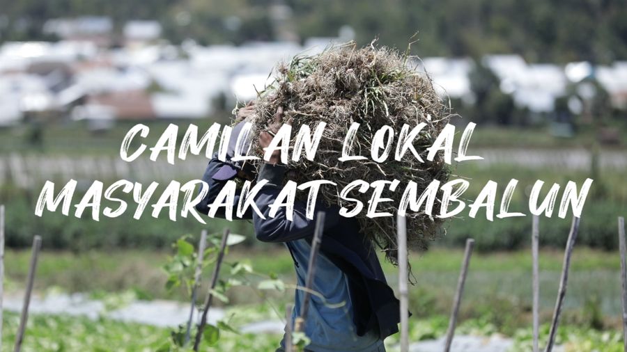 Camilan Baru! Kacang Buncis Khas Desa Sembalun