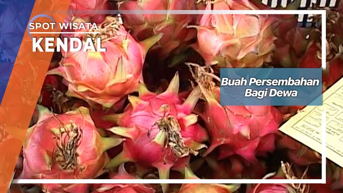 Buah Persembahan Bagi Dewa, Kendal