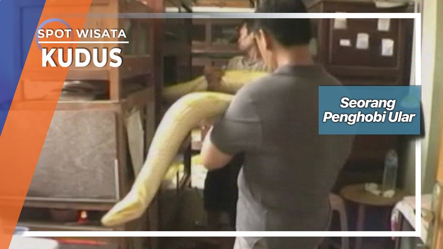 Seorang Penghobi Ular, Kudus