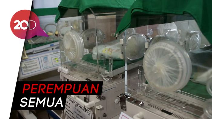 Sambut Bahagia Kelahiran Bayi Kembar 3 di Parepare