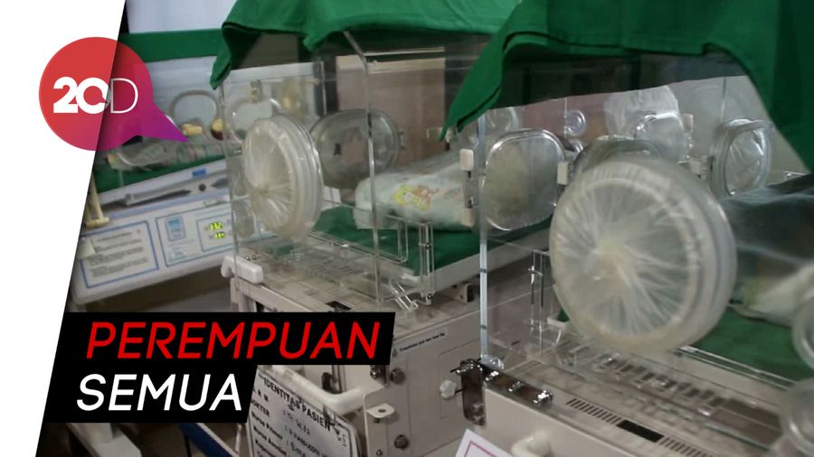 Sambut Bahagia Kelahiran Bayi Kembar 3 di Parepare