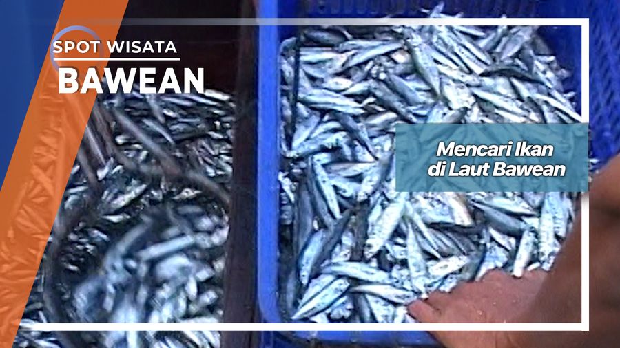 Mencari Ikan di Laut Bawean, Bawean