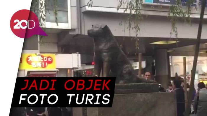 Kesetiaan Anjing Hachiko yang Melegenda di Stasiun Shibuya