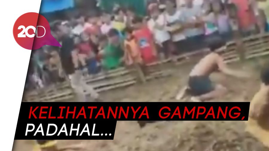 Dijamin Ngakak! Lomba Tangkap Anak Babi Sambil Merangkak
