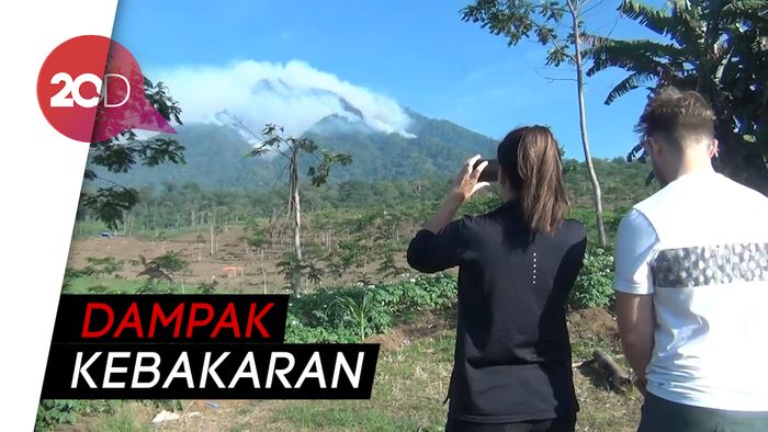 Wisatawan Kecewa Tak Bisa Nikmati Blue Fire Kawah Ijen