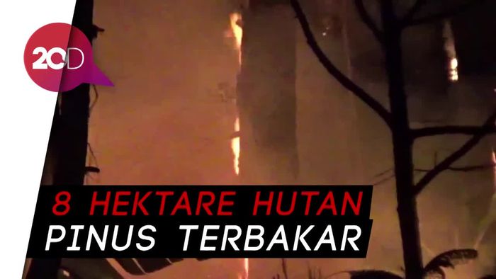 Medan Terjal, Petugas Sulit Padamkan Kebakaran Hutan di Trenggalek