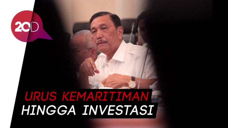 Soal Realisasi Investasi, Jokowi Serahkan ke Menteri Luhut