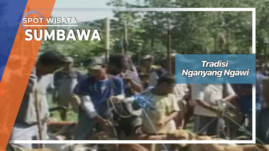 Tradisi Nganyang Ngawi, Sumbawa