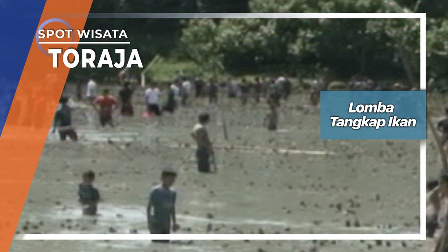 Lomba Tangkap Ikan, Toraja