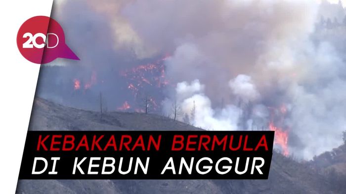 Petugas Pemadam Berjuang Padamkan Api di California