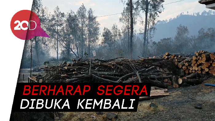 Imbas Kawah Ijen Ditutup Sementara, Wisatawan dan Penambang Ngeluh