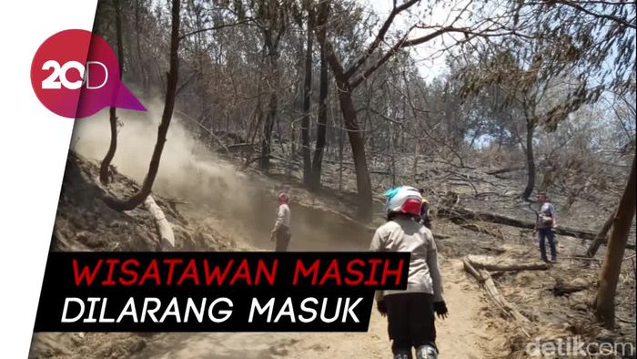 Kebakaran Pegunungan Ijen Sudah Teratasi