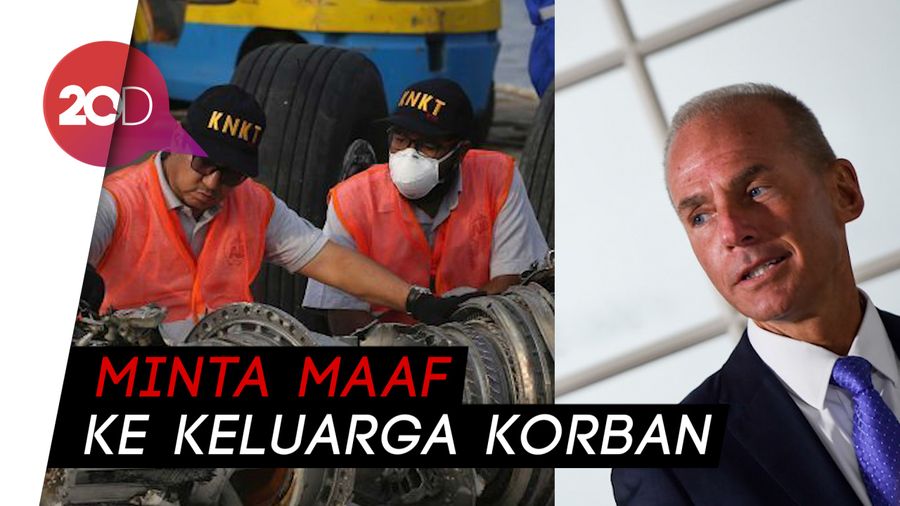 CEO Boeing Akui Ada Kesalahan di Pesawat 373 MAX