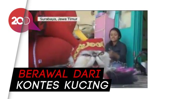 Kreasi Kostum Kucing Berbuah Bisnis yang Laris Manis