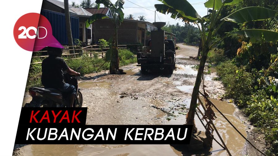 Protes Jalan Rusak, Warga Polman Tanam Batang Pisang di Jalanan