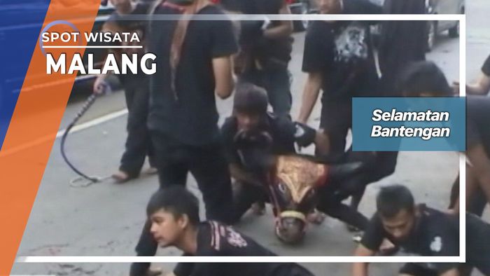 Selamatan Bantengan, Malang